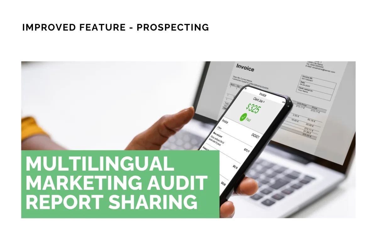 Multilingual Marketing Audit Report Sharing