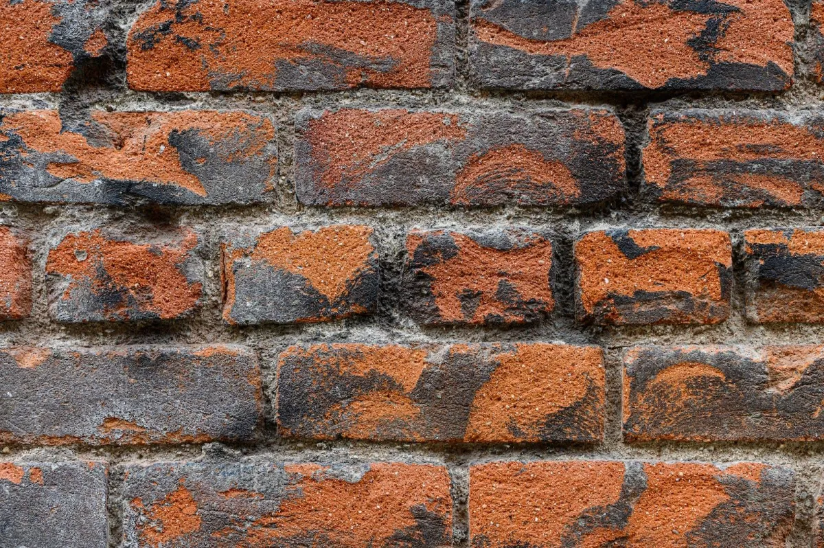 Concrete Wall vs. Block Wall: Which is More Affordable?