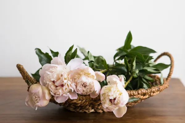a bowl of flowers