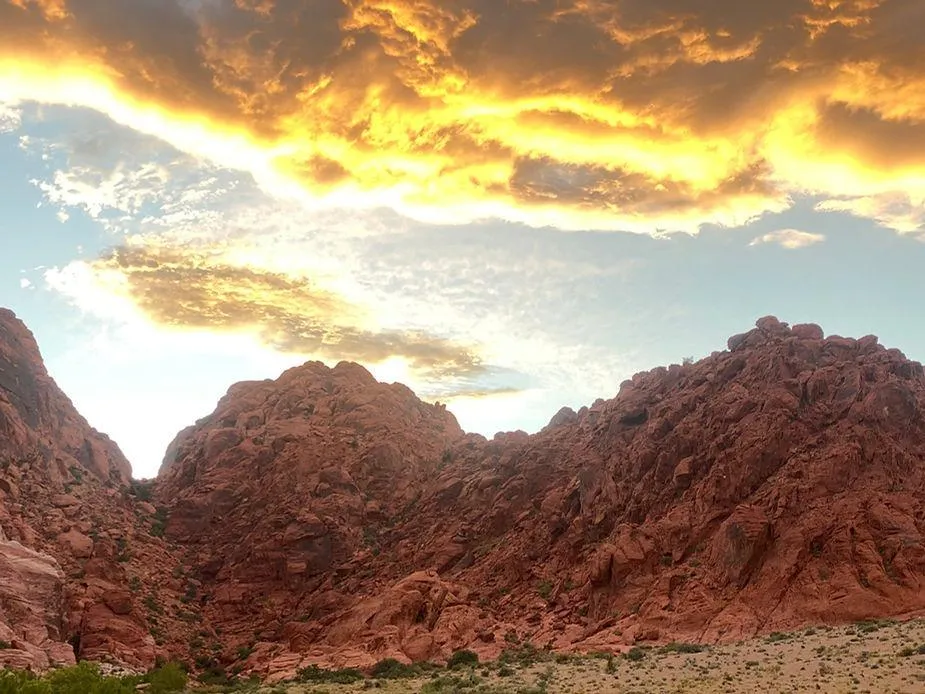 Vibrational Healing and Heaven on Earth
