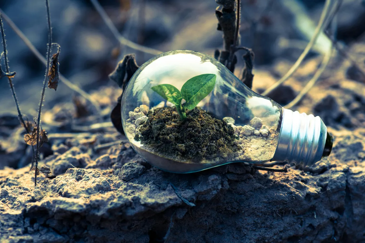 The Insight Hub: Why Building a Business is Like Training for a Marathon