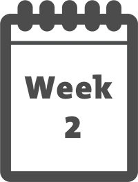 week 2