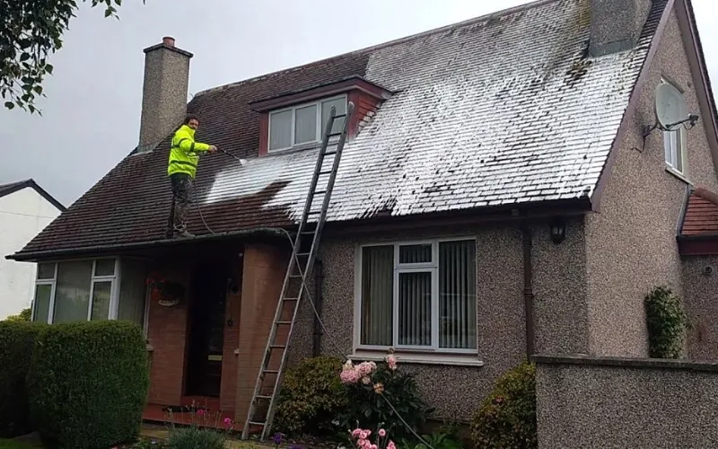 preventative roof care