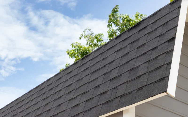 Architectural Shingles: The Complete Homeowner’s Guide