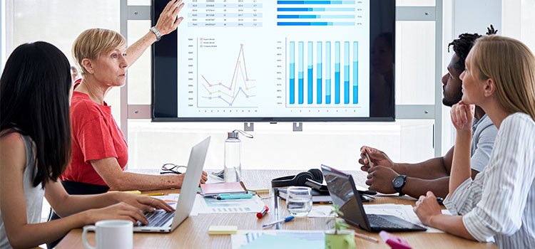 Business Administration & HR Insights for Growing Organizations | The Bison Book