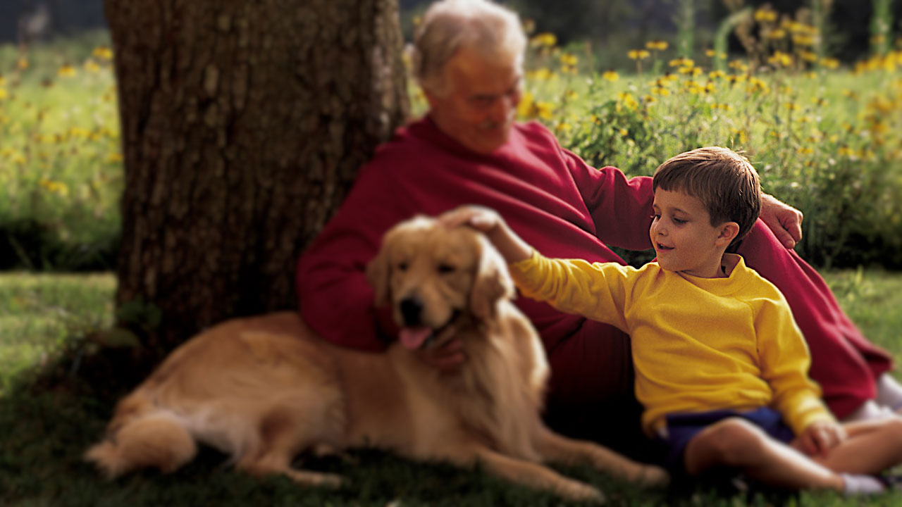Enriched Gardens help seniors with dementia make real-world gains in cognition and independence