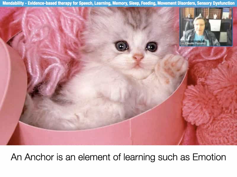 Webinar: I learn to read with my toes