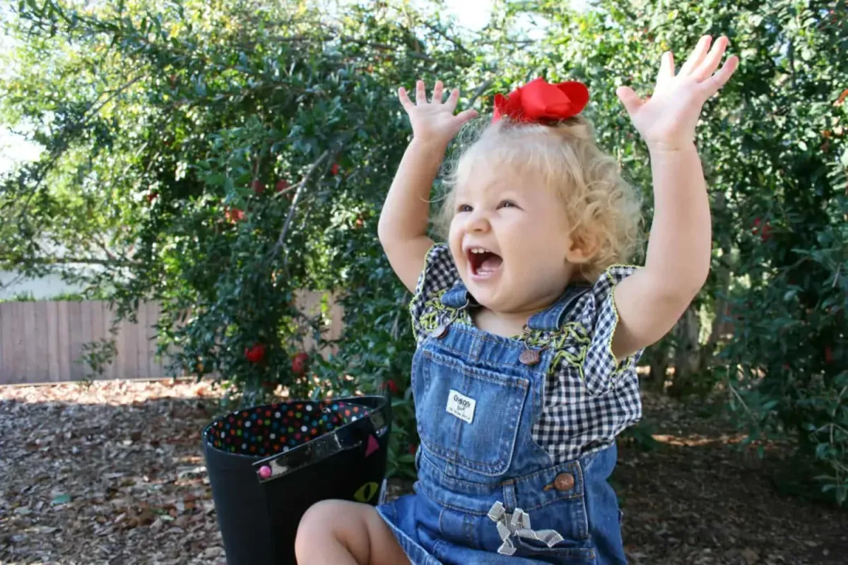 Variety and novelty are confirmed as important factors for success with a Sensory Enrichment Program