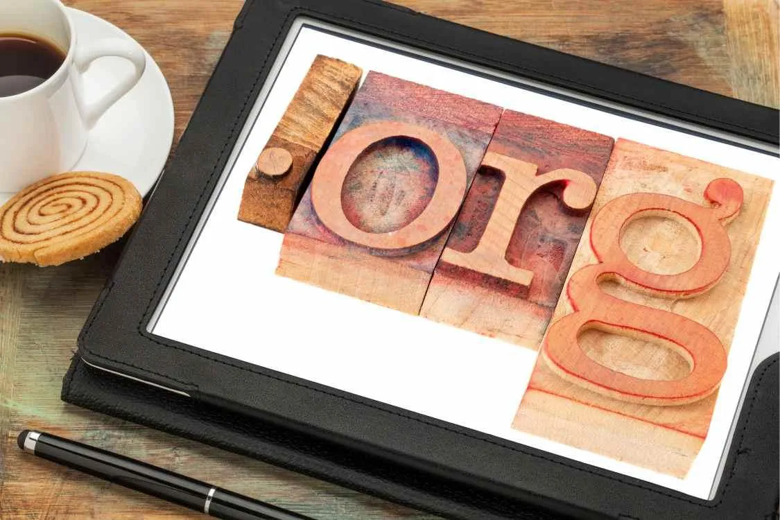 non-profit organization internet domain