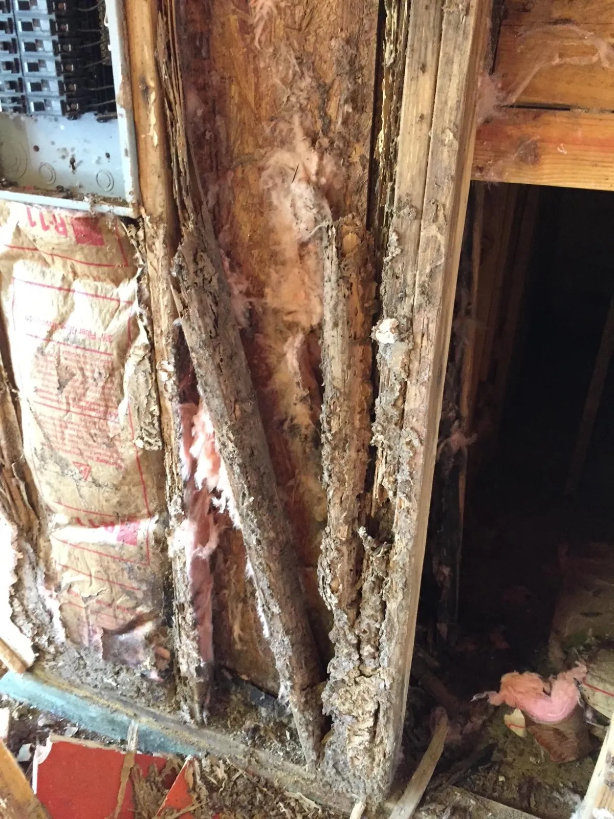 Termite Damage Diaomondhead MS