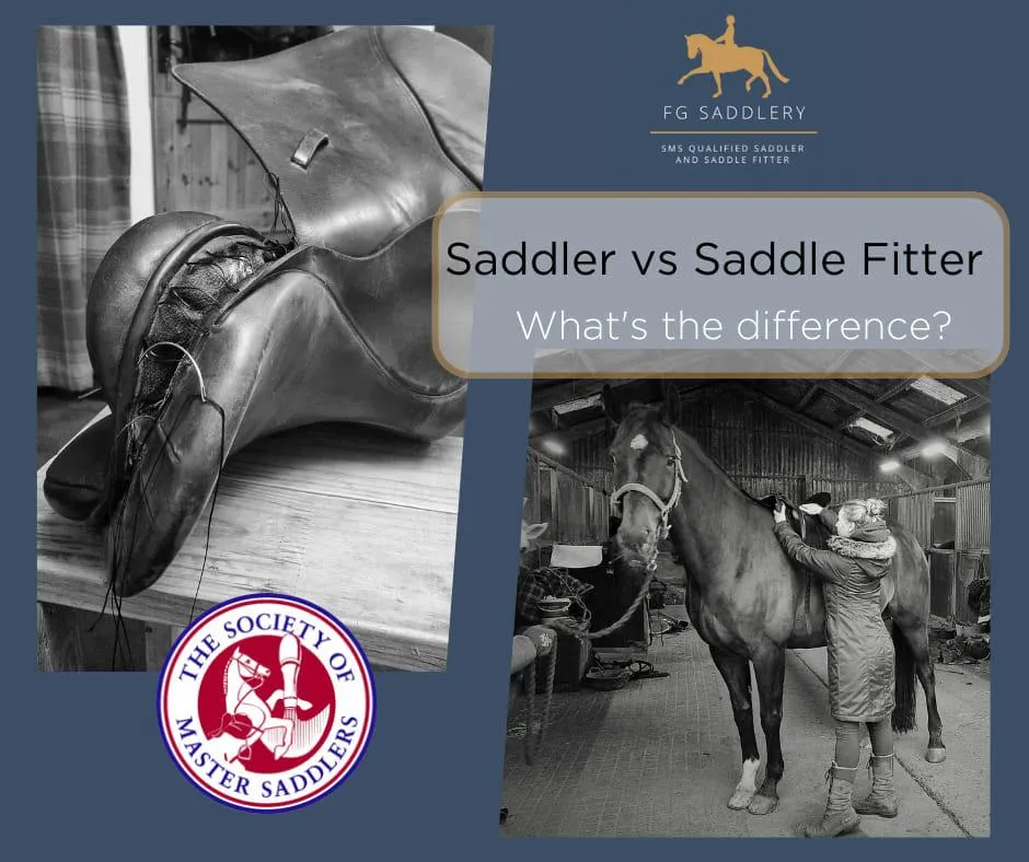 horse saddle 