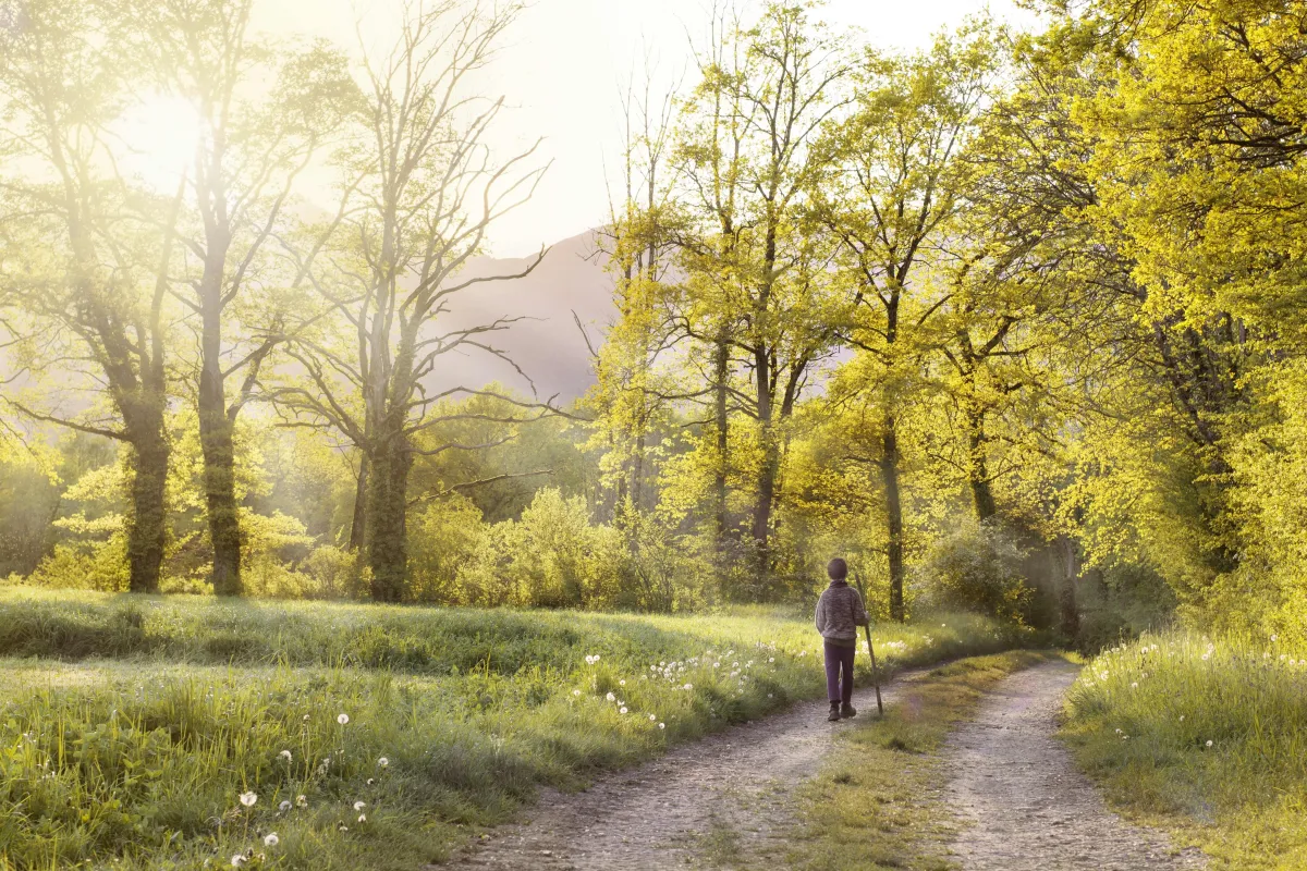 walking