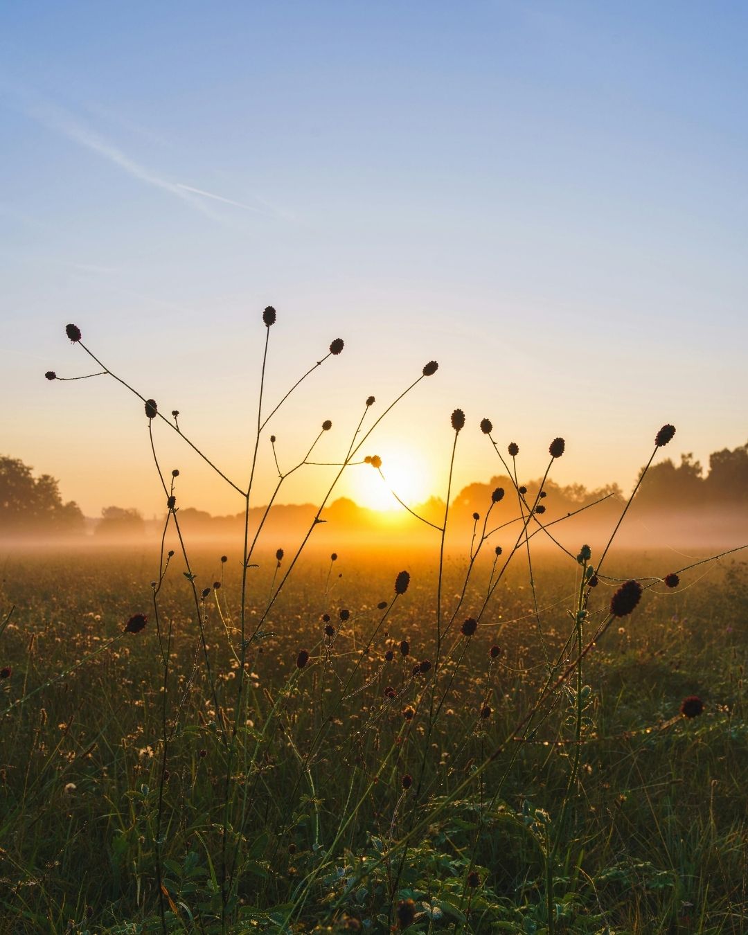 Creating Daily Rituals That Strengthen Self Worth