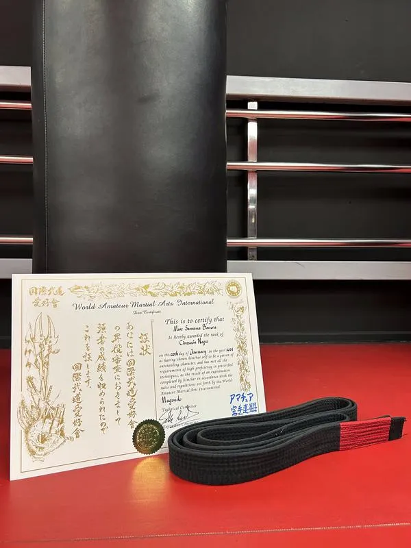 Artes marciales mugendo
