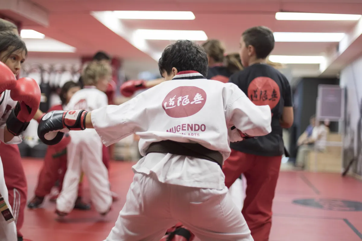 kick boxing mugendo