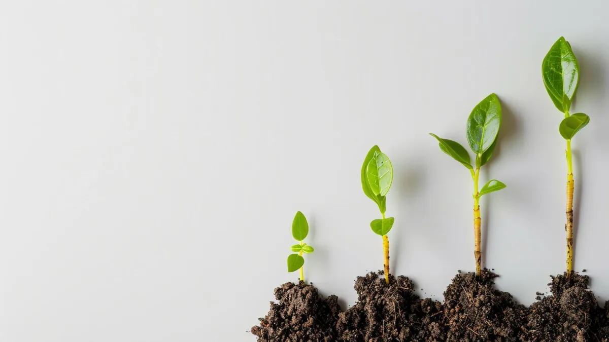 ¿Y si emprender fuera la nueva forma de resistencia?