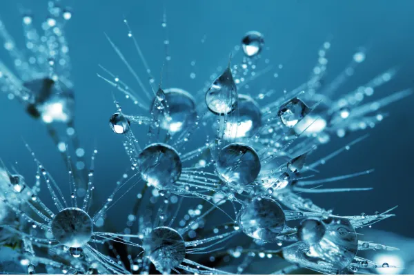 Cell-permeable water