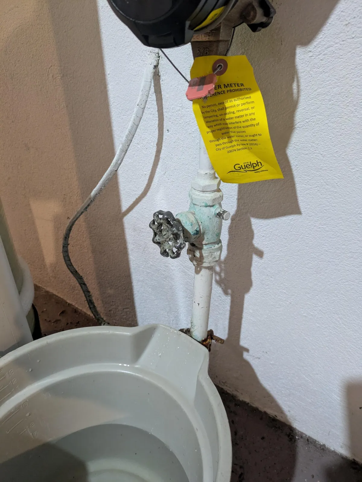 Who's the Best Plumber for Leak Repairs In Guelph Homes?