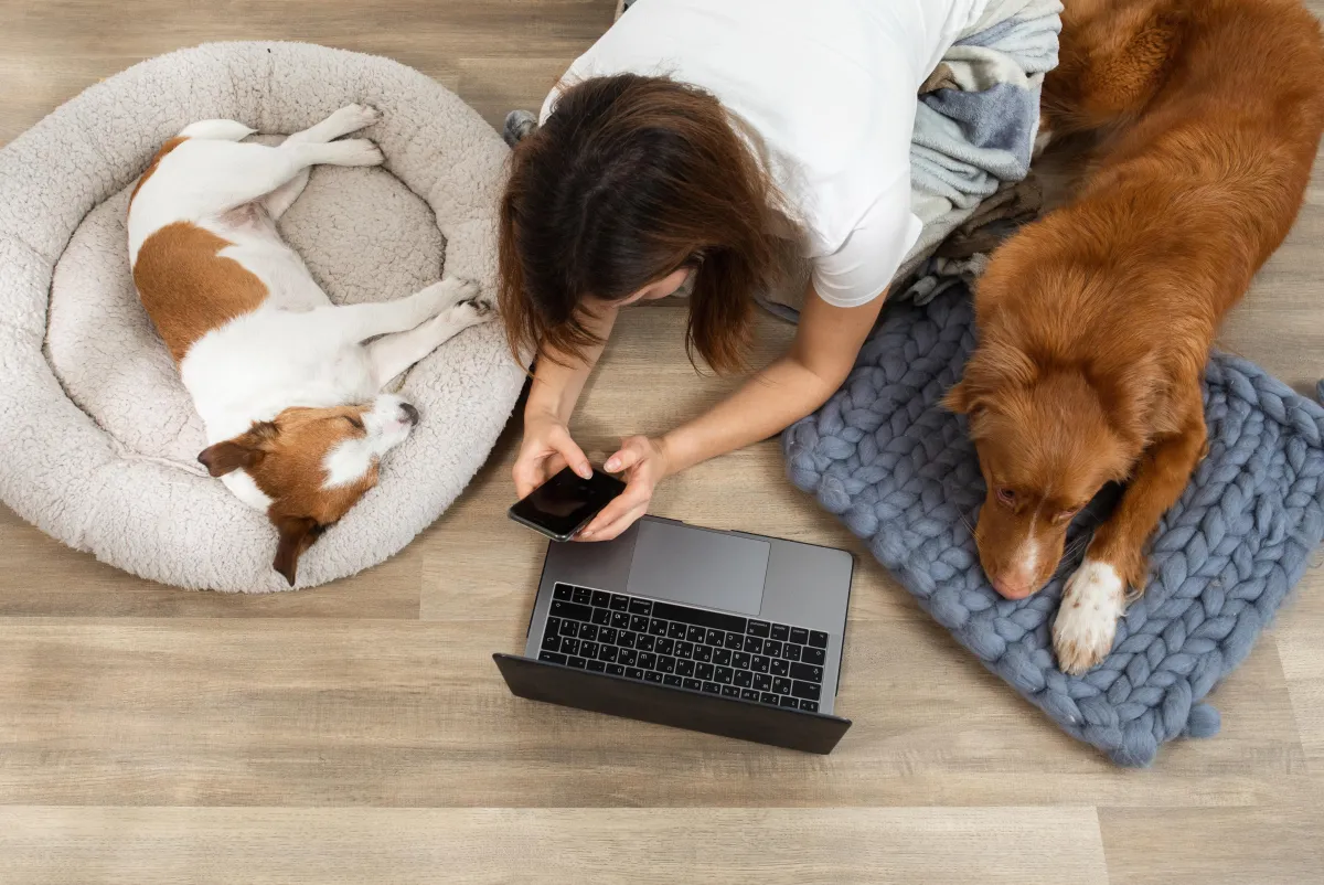 Why Our Virtual Dog Training Works Better