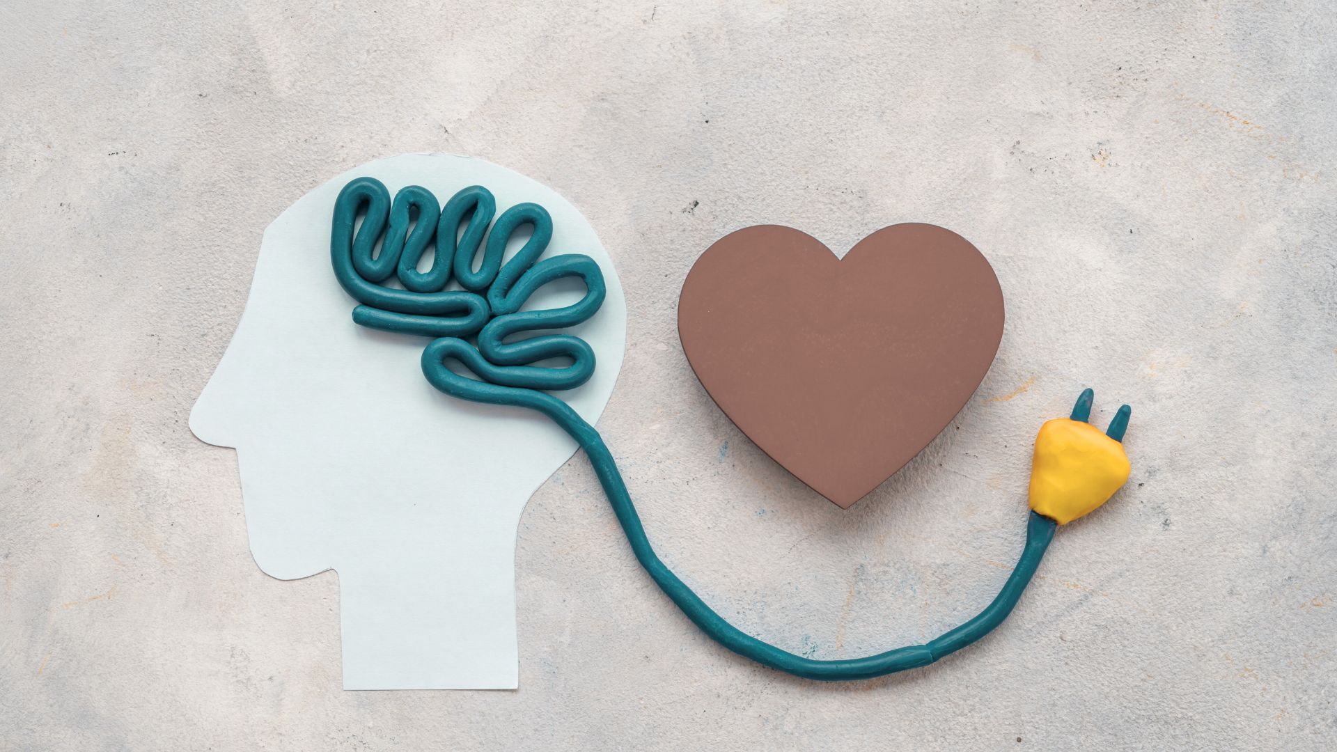 The Mind Body Connection of Emotions