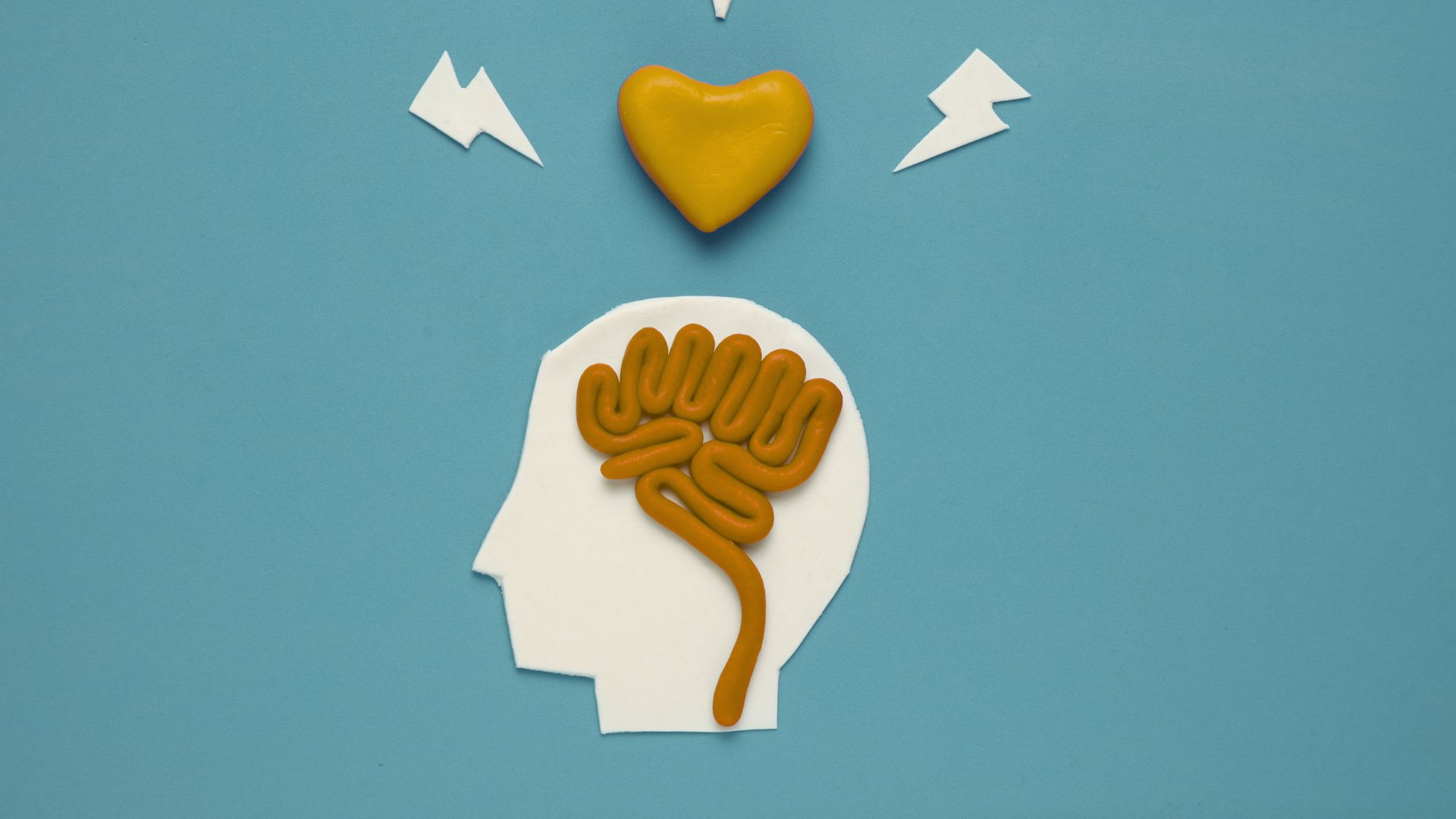 La conexión cuerpo y mente de nuestras emociones