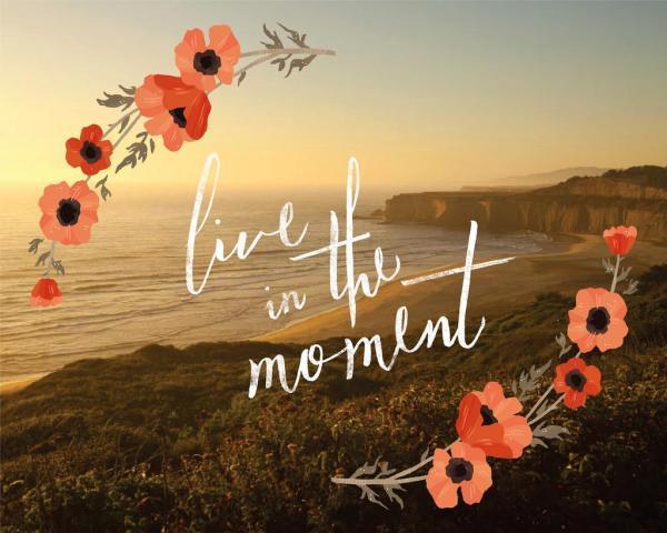 Live in the Moment