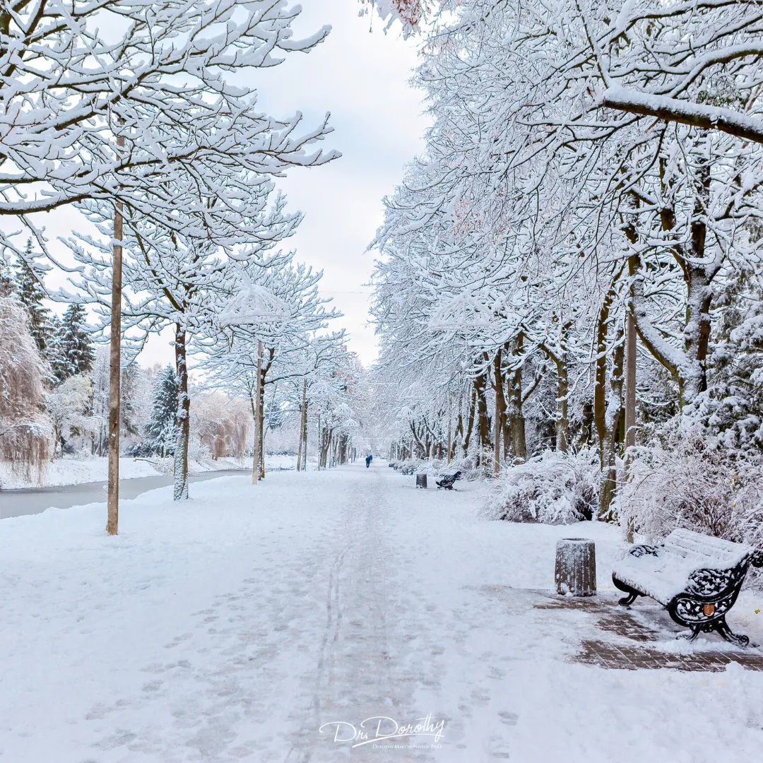 This is the Life Your Beliefs & Actions Built