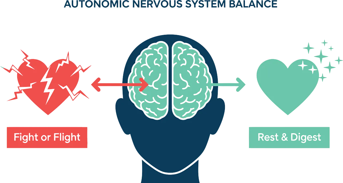 Helping Neurodivergent Learners Regulate Their Bodies to Learn Better: What Science Says About Attention, Stress, and “Body Awareness”