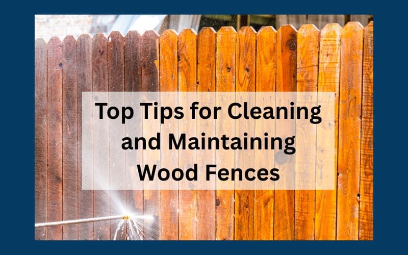 Top Tips for Cleaning and Maintaining Wood Fences
