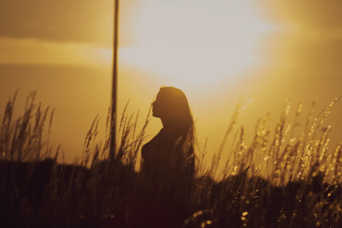 Estado de permitirnos