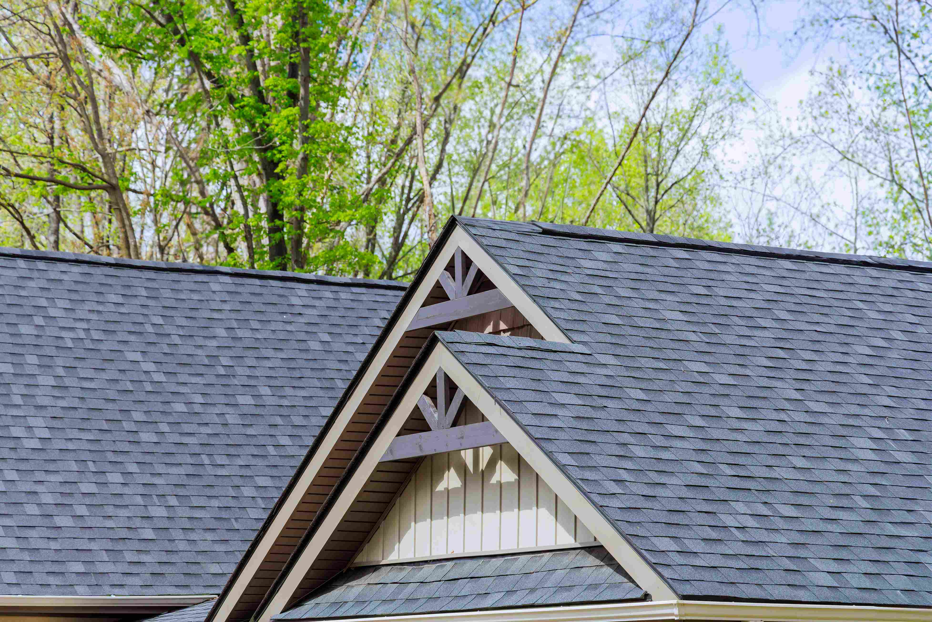 /gaf-timberline-hdz-jacksonville-review
