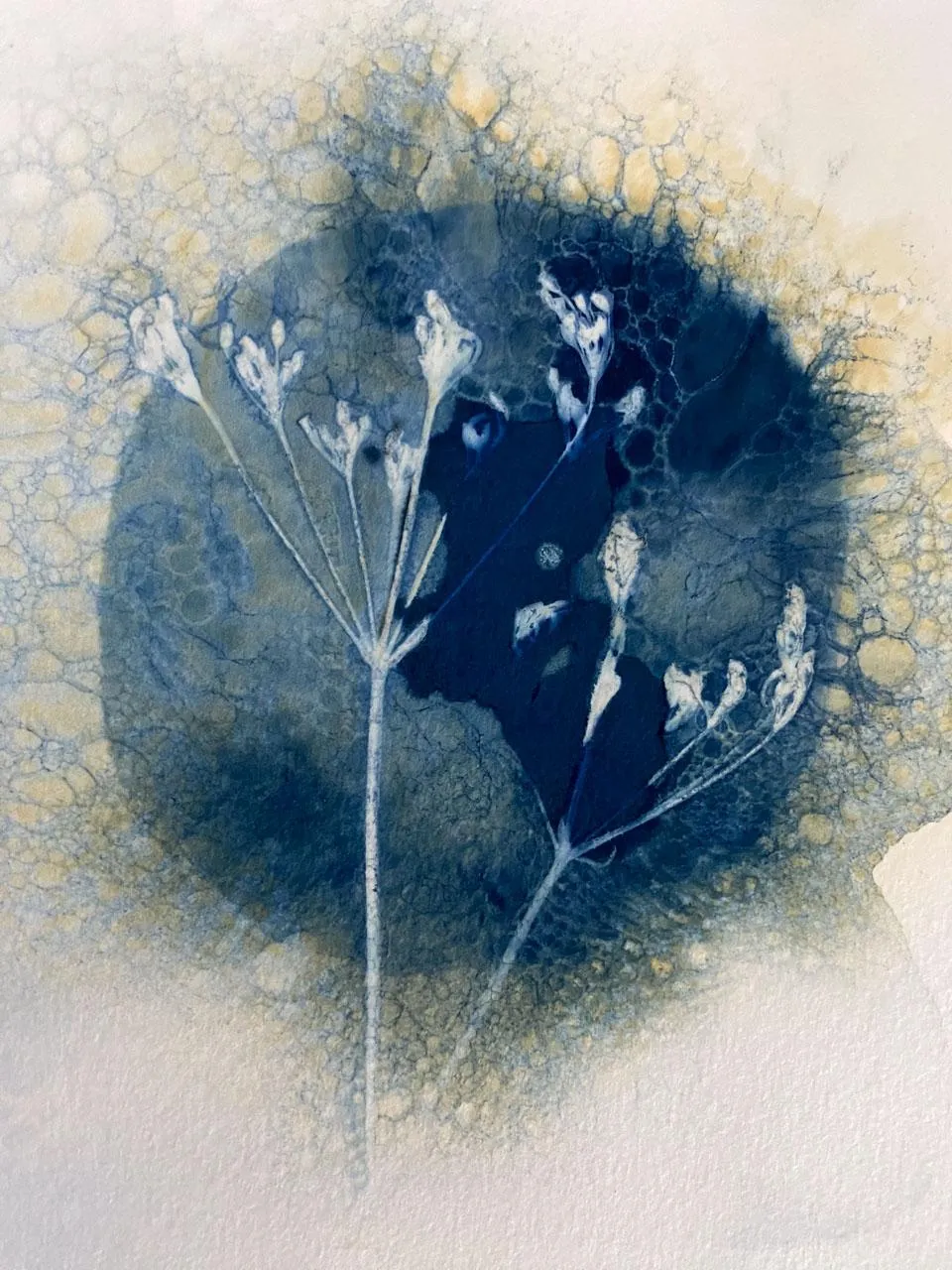 How to Create a Cyanotype