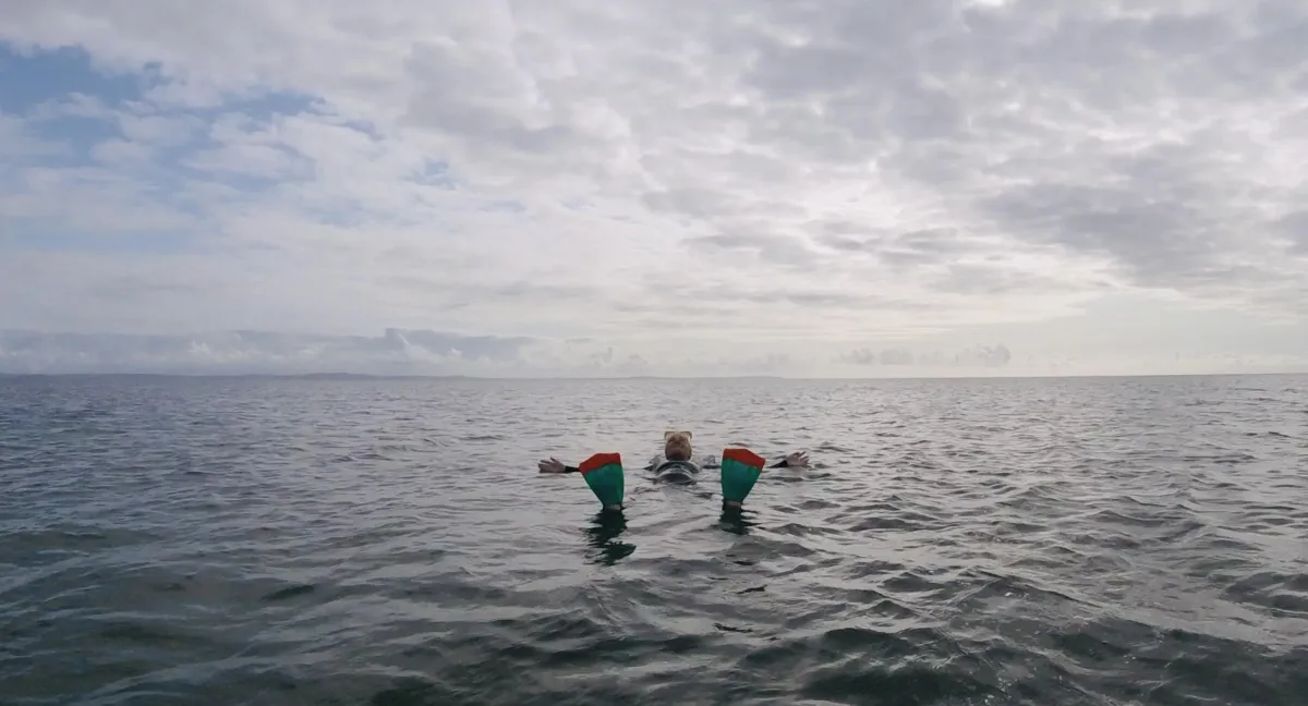 You're Needs Are Important