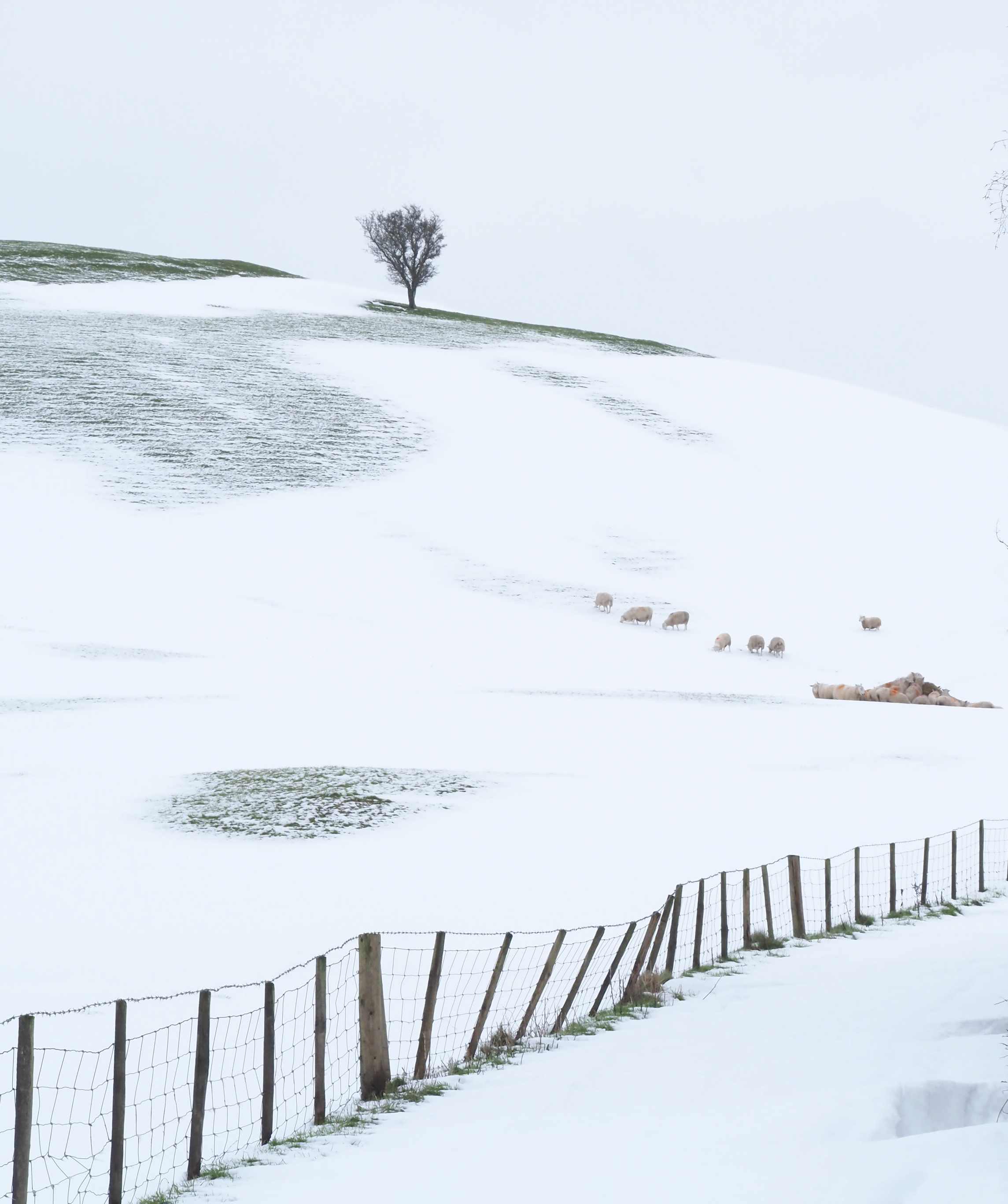 Stress becomes invisible, even to ourselves.