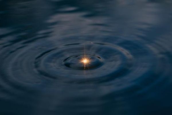 The Alchemist’s Audit: Using Intuition as a Data Point for Scaling