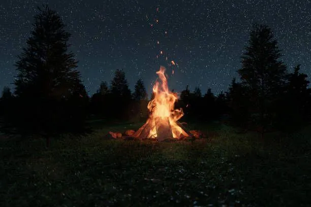 Tent party rental for summer camping