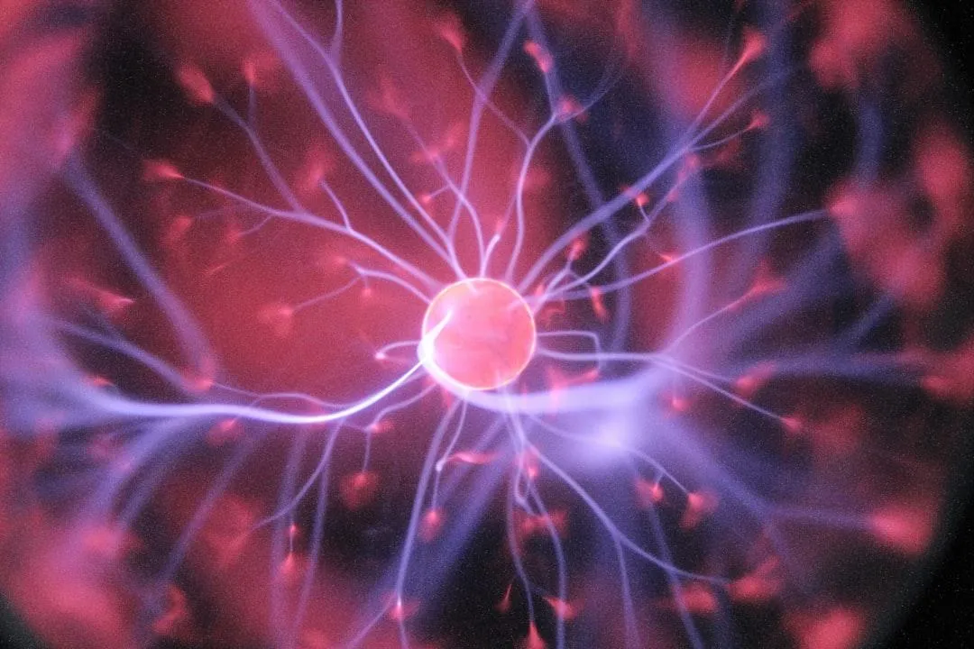 Renew Your Mind: 5 Practical Steps for Lasting Transformation