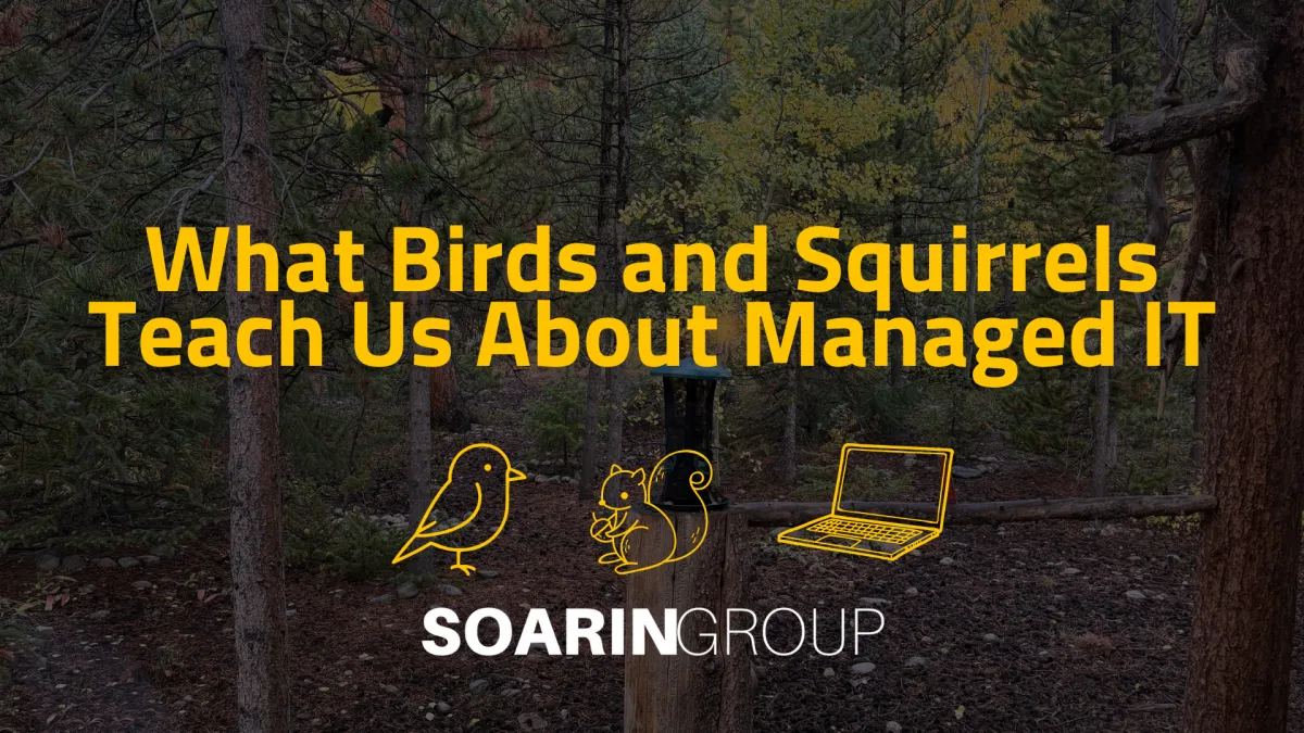 What Birds and Squirrels Teach Us About Managed IT