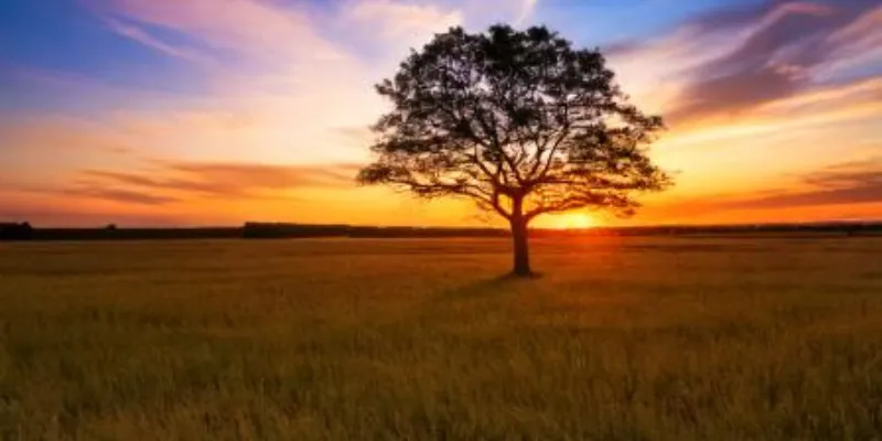 Success Starts in the Mind: How to Cultivate a Winning Mindset