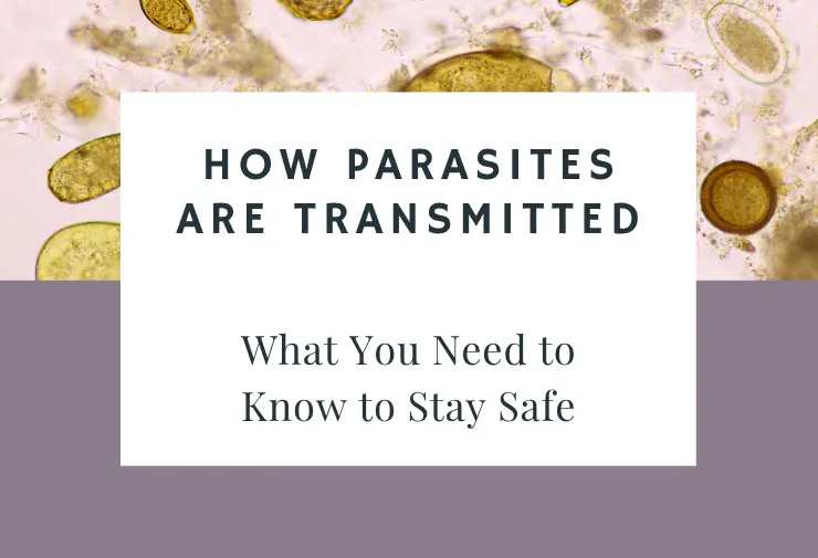 How Parasites Are Transmitted: 6 Hidden Sources & How to Stay Safe