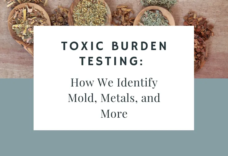 Toxic Burden Testing: How We Identify Mold, Metals, and More