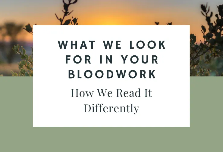 What We Look for in Your Bloodwork (and How We Read It Differently)