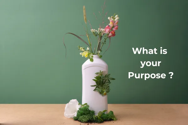 Find your Sustainability Purpose