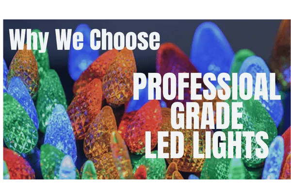 Why We Chose Professional-Grade LED Lights for Kalamazoo Homes
