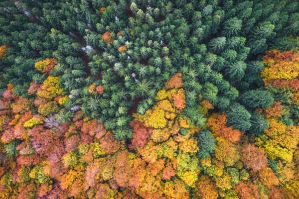 Changing Landscape