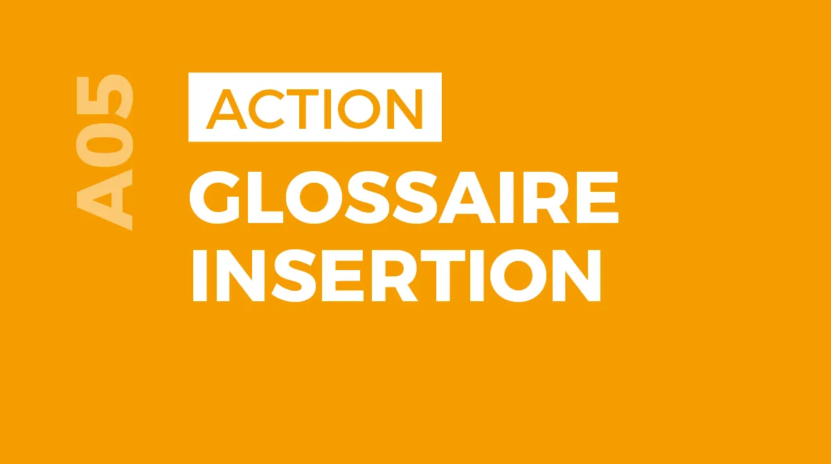 Glossaire Insertion