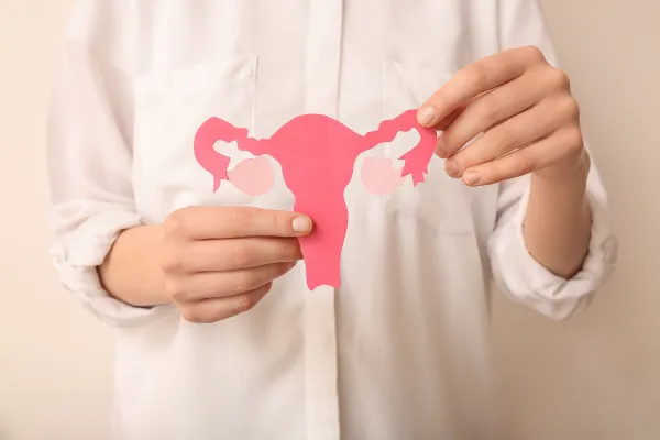 A close-up image of a person holding a pink paper illustration of the female reproductive system, symbolizing hormone-related changes and midlife hormonal awareness.