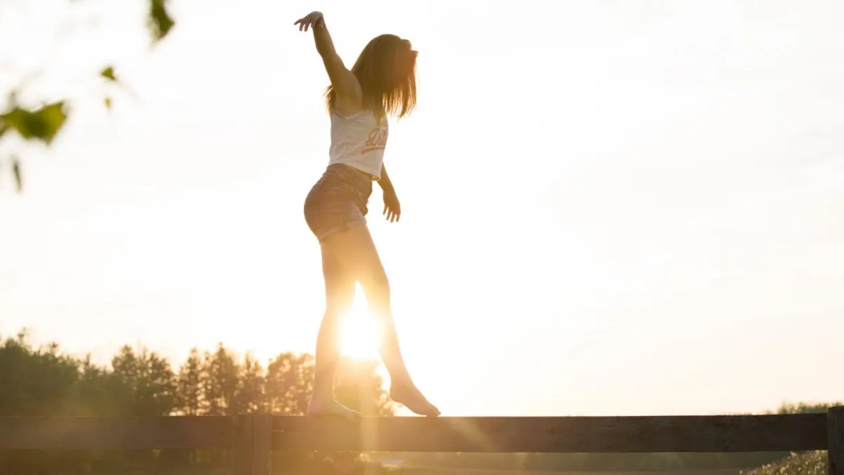The wheel of life - discover that what makes you happiest