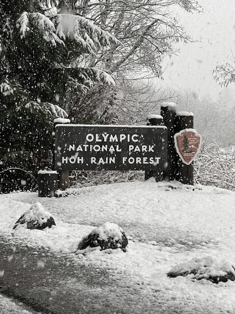 Not the Quietest ​Place on Earth
