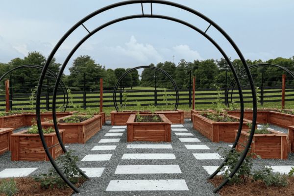 How Much Water Do Vegetable Gardens Need?